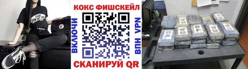 Cocaine FishScale  купить наркотики сайты  Дмитриев 
