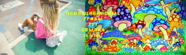 бошки Армянск
