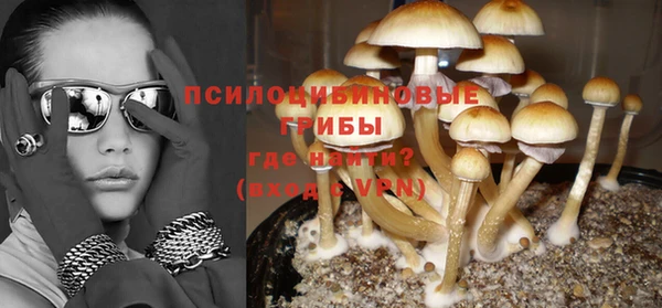 таблы Нестеровская