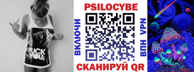 гидра рабочий сайт Дмитриев Галлюциногенные грибы Psilocybe